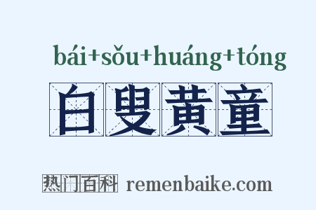 白叟黄童是什么意思的图片